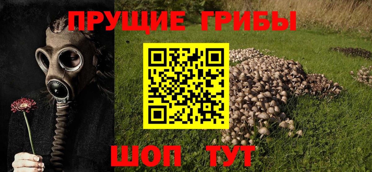НБОМе Карталы